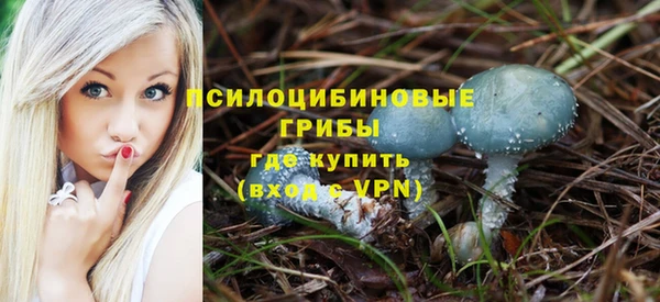 гашик Кукмор