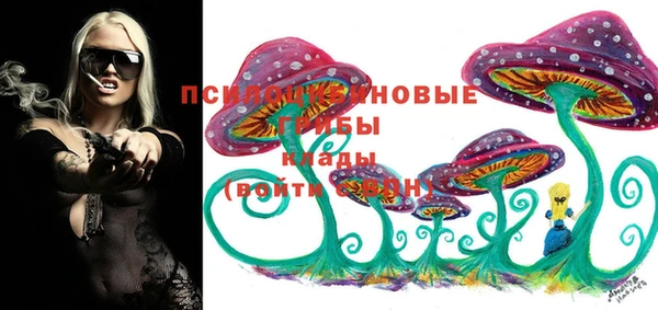 гашик Кукмор
