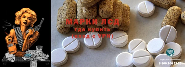 гашик Кукмор