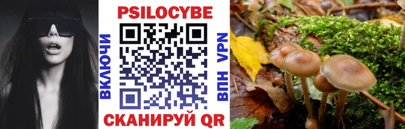 Псилоцибиновые грибы прущие грибы  мориарти состав  Приволжский 